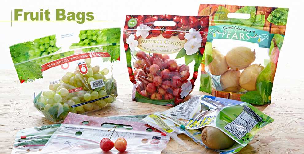 Ta Ting Plastic (Hải Dương) Co., Ltd