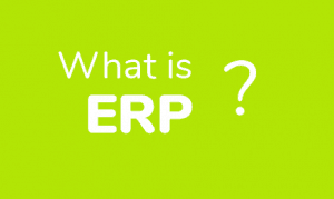 What Is Erp